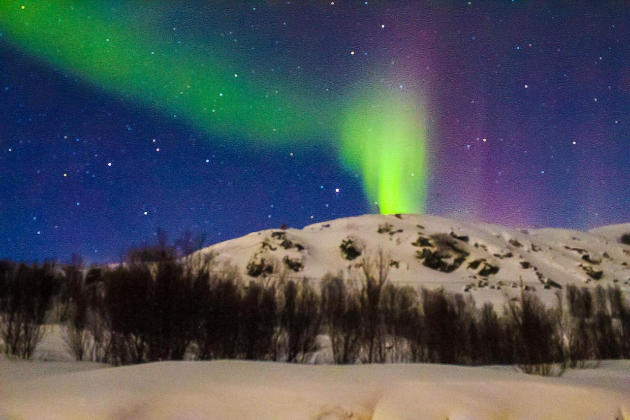 Melishome: Aurora Observatory Тромсьо Екстериор снимка